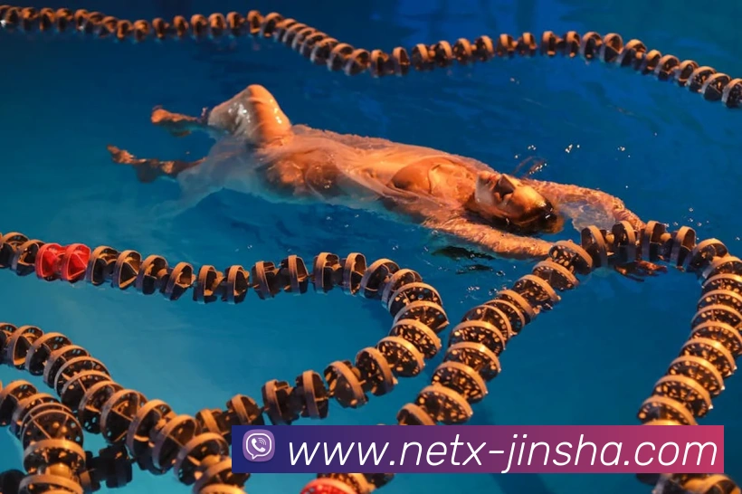 App Interface Preview